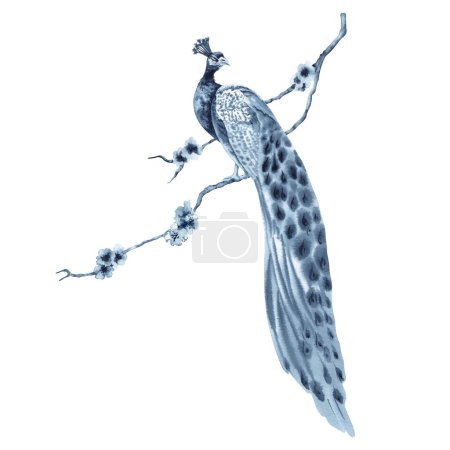 Pájaro pavo real en flor árbol rama pintura. Composición monocromática índigo azul. Ilustración acuarela dibujada a mano aislada sobre fondo blanco. Clip art con estilo para impresiones, patrones y fondos de pantalla