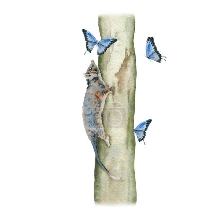 Ringtail possum climbing on a tree trunk surrounded by blue butterflies. Australian native animal composition. Hand draw watercolor illustration isolated on white background. For cute natural prints