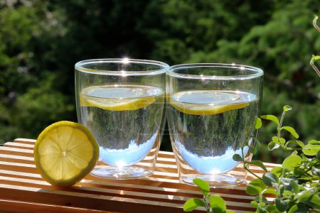 Zwei Gläser Wasser und Zitrone im Garten