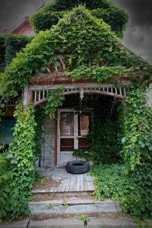 Photo for Overgrown entrance to an old home built in the late 1800s that was located in Keokuk, IA. - Royalty Free Image