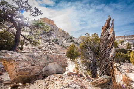 Foto de Un hermoso paisaje se ve en el área salvaje de Ojito ubicada en el condado de Sandoval, Nuevo México. - Imagen libre de derechos