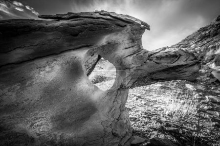 Foto de Formación rocosa En el desierto de Ojito en forma de un roadrunner. - Imagen libre de derechos