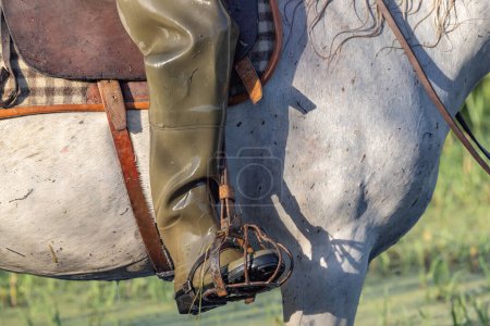 Photo for Saintes-Maries-de-la-Mer, Bouches-du-Rhone, Provence-Alpes-Cote d'Azur, France. Rubber waders on a horse rider in the marshes of the Camargue. - Royalty Free Image