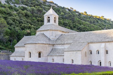 Photo for Gordes, Vaucluse, Provence-Alpes-Cote d'Azur, France. July 7, 2022. Lavendar at the Senanque Abbey in Provence. - Royalty Free Image