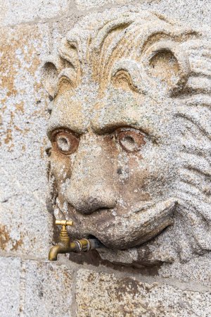 Téléchargez les photos : Europe, Portugal, Viana do Castelo. Lion historique en pierre sculptée dans le jardin de Viana do Castelo. - en image libre de droit