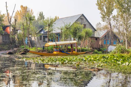 Téléchargez les photos : Rainawari, Srinagar, Jammu-et-Cachemire, Inde. Bateaux et maisons sur la rive du lac Dal. - en image libre de droit