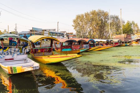 Téléchargez les photos : Rainawari, Srinagar, Jammu-et-Cachemire, Inde. 24 octobre 2022. Bateaux touristiques shikara traditionnels au lac Dal. - en image libre de droit