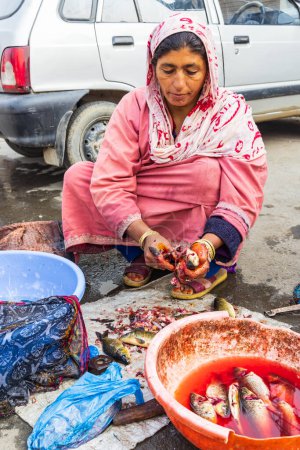 Téléchargez les photos : Shamswari, Srinagar, Jammu-et-Cachemire, Inde. 25 octobre 2022. Femme vendant du poisson frais du lac Dal au Cachemire. - en image libre de droit