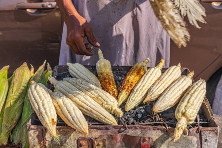 Photo for Cairo, Egypt, Africa. Street vendor roasting corn on the cob. - Royalty Free Image