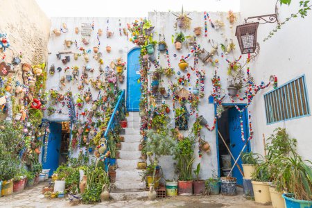 Photo for Hammamet, Nabeul, Tunisia. March 6, 2023. A courtyard full of potted plants in Tunisia. - Royalty Free Image