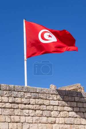 tunecina