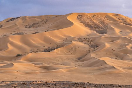 Foto de Oriente Medio, Arabia Saudita, provincia de Tabuk, Tayma. Dunas de arena en el desierto de Arabia Saudita. - Imagen libre de derechos