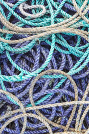Amble, Morpeth, Northumberland, England, Großbritannien. Lila und grüne Seile auf den Docks von Amble.
