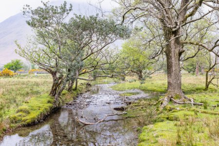 Wasdale Head, Seascale, Lake District National Park, Cumbria, England, Great Briton, United Kingdom. A small stream in Lake District National Park.