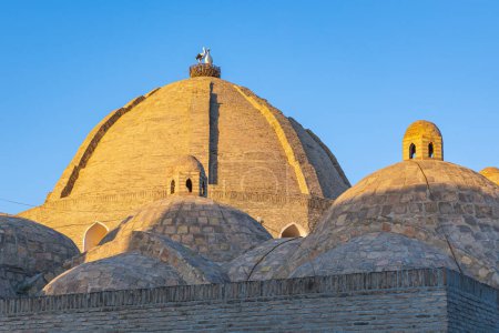 Bukhara, Uzbekistan, Central Asia. Domes of the Mir-i-Arab Madrasa in Bukhara.