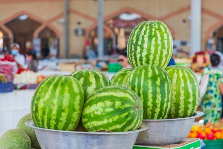 Bukhara, Uzbekistan, Central Asia. Fresh water melons for sale at a market in Bukhara.
