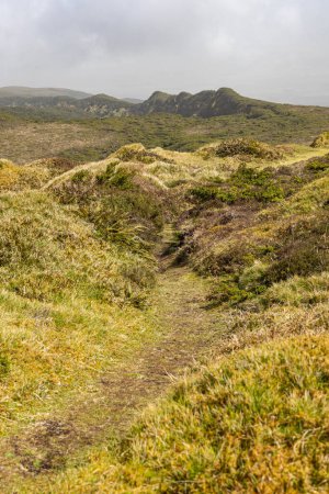 Santa Barbara, Terceira, Azores, Portugal. Lush green hills on Terceira Island, Azores.