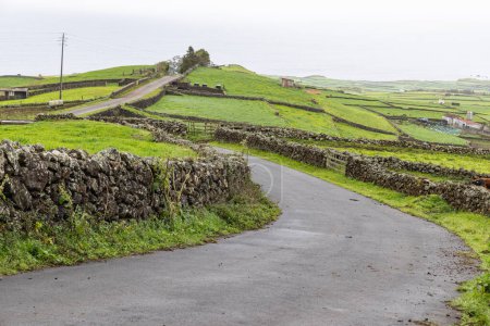 Foto de Terceira, Azores, Portugal. Camino a través de pastizales de piedra cercada en la isla de Terceira, Azores. - Imagen libre de derechos