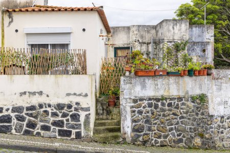 Foto de Praia da Vitoria, Terceira, Azores, Portugal. 31 de marzo de 2022. Plantas en una pared en una casa en la isla de Terceira. - Imagen libre de derechos