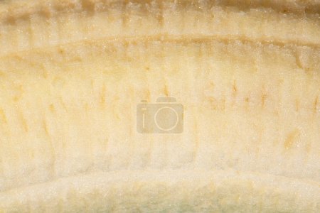Photo for Banana texture as a background. A close up shot of a banana. Macro photo. - Royalty Free Image