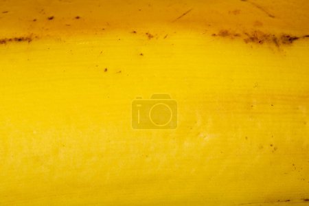 Téléchargez les photos : Texture de peau de banane comme fond. Un gros plan d'une peau de banane. Macro photo. - en image libre de droit