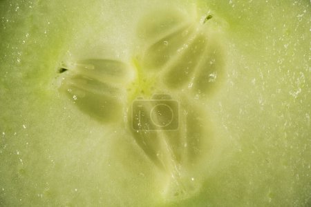 Foto de Textura de pepino como fondo. Un tiro de un pepino. Macro photo.cucumber. - Imagen libre de derechos