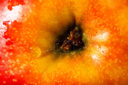 Photo for Apple texture as a background. A close shot of an apple. Macro photo.Apple. - Royalty Free Image