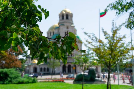 Photo for Tree branch with leaves and Alexander Nevsky Cathedral in the background - Royalty Free Image