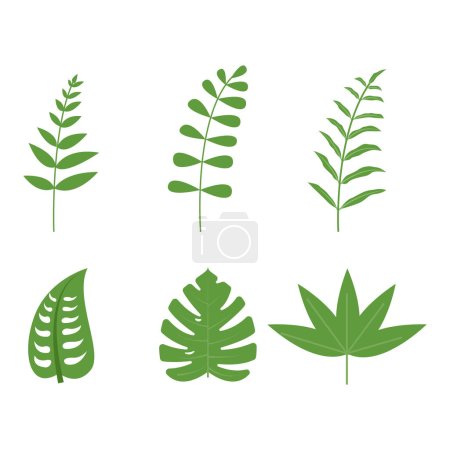 Téléchargez les illustrations : Feuille de palmier feuilles tropicales ensemble vecteur - en licence libre de droit