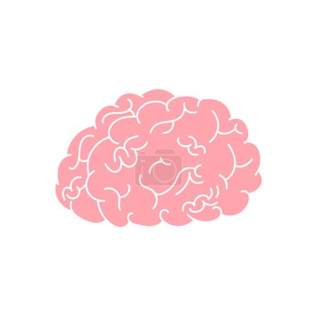 human brain organ pink brain with white stroke