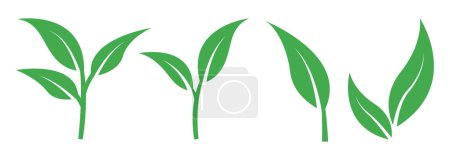 sprouting leaf new plant icon logo