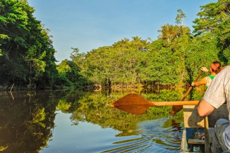 Two people rowing a canoe with paddles in calm waters on an amazonian river. It is a sunny day with bright blue sky and they are surrounded by lush tropical rainforest vegetation.
