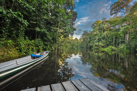Punto de vista bajo sobre el río Cuyabeno amazónico con cielo azul, reflejo en el agua, pontón y canoa en la orilla del río. En la lengua Siona - Secoya, Cuyabeno significa "Río Bondad""