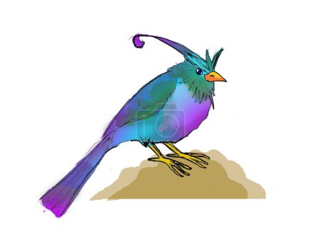 pájaro azul púrpura en la roca