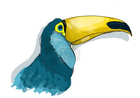 toucan brazilian Bird blue face yellow nozzle