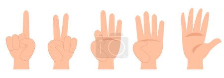 Vector illustration of hands and numbers with fingers. Human hand and number gesture isolated on white background