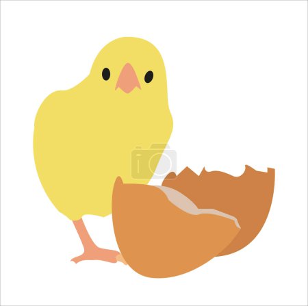 Ilustración de Huevo y amarillo lindo polluelo - Imagen libre de derechos