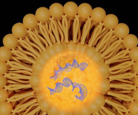 Foto de Encapsulación aislada del ADN dentro de liposomas sería útil para la terapia génica práctica en el fondo negro - Imagen libre de derechos