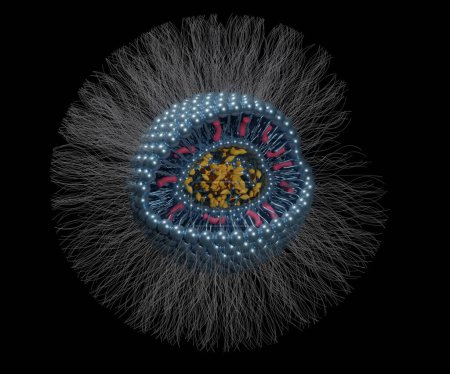 Foto de Liposoma aislado con polietilenglicol está llevando nanodroga o nanomedicina 3d renderizado - Imagen libre de derechos