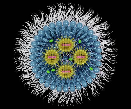 Téléchargez les photos : Petit ARN interférant ou ARNm, ARNm ou CRISPR livraison médiée par nanoparticules à base de lipides rendu 3d - en image libre de droit