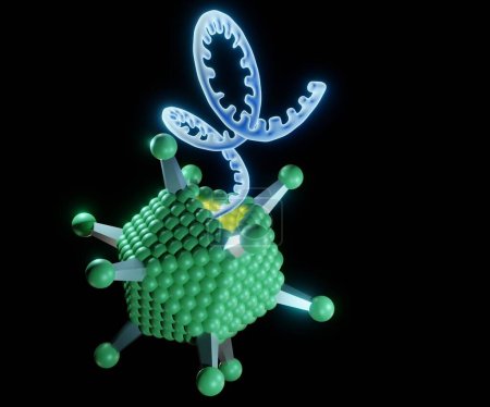 Isolated Virus polyhedral morphology with single stranded DNA or RNA 3d rendering