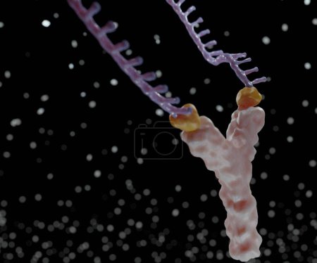 Foto de Tirachinas moleculares con anticuerpos. nanodroga encapsulada se dirige a la región específica 3d renderización - Imagen libre de derechos