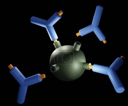Foto de Un antígeno es una molécula que inicia la producción de un anticuerpo y causa una respuesta inmune 3d - Imagen libre de derechos