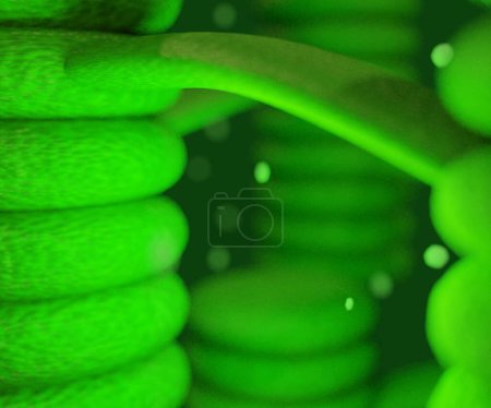Foto de Órganos de cloroplasto, estructura dentro de las células de las plantas o la representación de algas 3d - Imagen libre de derechos