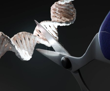 Téléchargez les photos : CRISPR est une technologie qui peut être utilisée pour éditer des gènes. Brin ADN avec ciseaux. couper l'hélice - en image libre de droit