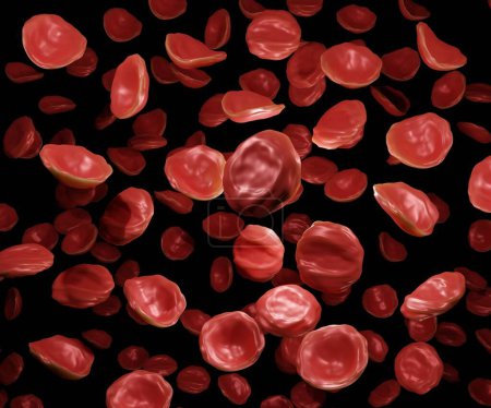 Téléchargez les photos : Lorsque les globules rouges sont dans une solution hypertonique. Il en résulte une crémation (ratatinage) du rendu 3d des cellules sanguines - en image libre de droit