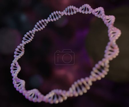 Téléchargez les photos : Un plasmide est une petite molécule d'ADN circulaire trouvée dans les bactéries et certains autres organismes microscopiques rendu 3d - en image libre de droit
