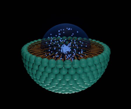 Téléchargez les photos : Nanoparticule lipidique solide avec rendu 3d porteur de nanomédicaments - en image libre de droit