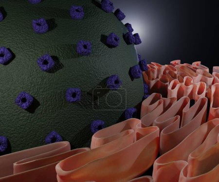 Foto de Reticulum endoplásmico y el núcleo celular 3d renderizado - Imagen libre de derechos