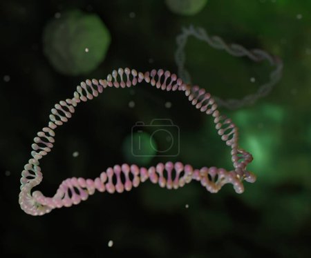 Photo for A plasmid is a small circular DNA molecule found in bacteria and some other microscopic organisms 3d rendering - Royalty Free Image